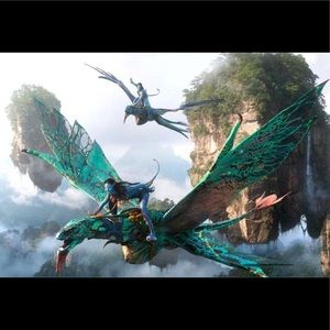 Meet your Posher, Janelyn